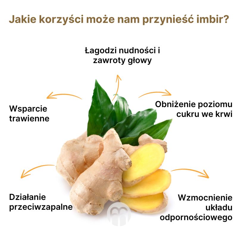 (Polština) Jak nám zázvor může prospět